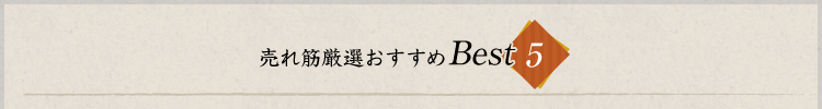 売れ筋厳選おすすめ　BEST5